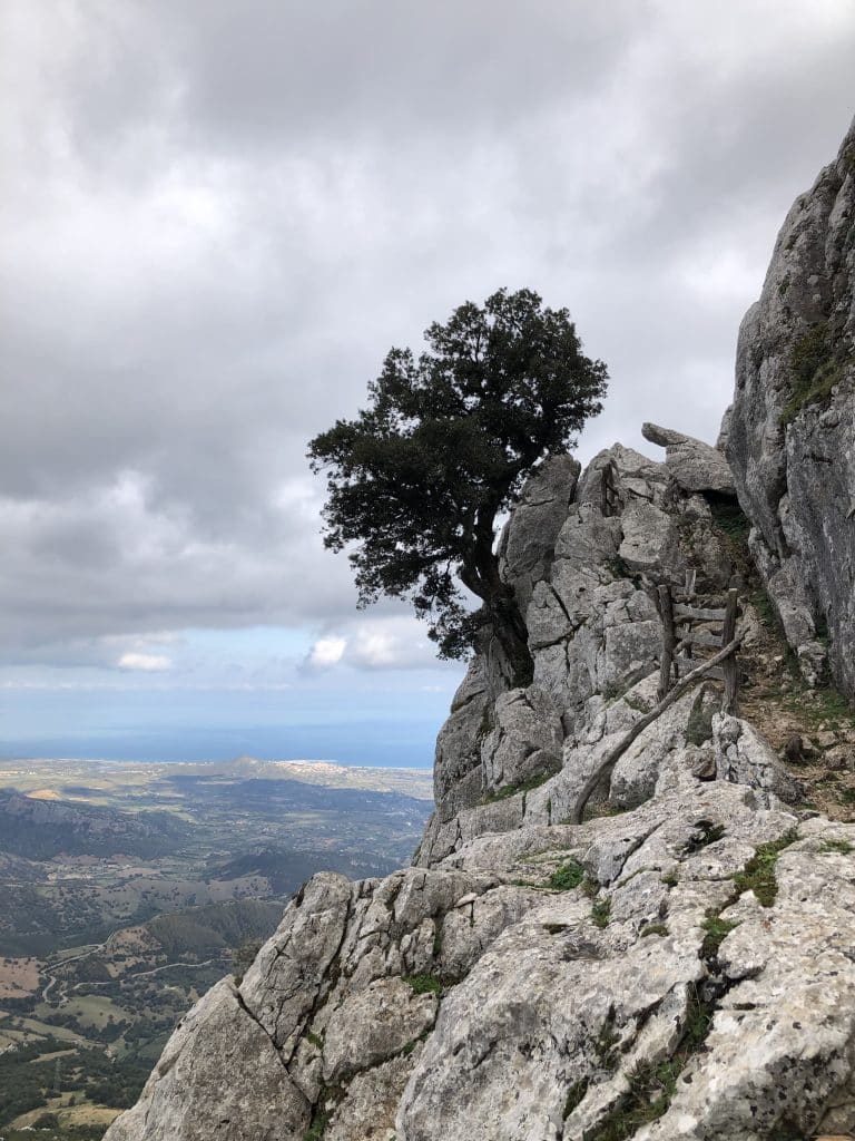 trekking-in-sardegna